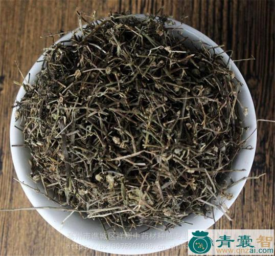 中药材铁沙尔图片