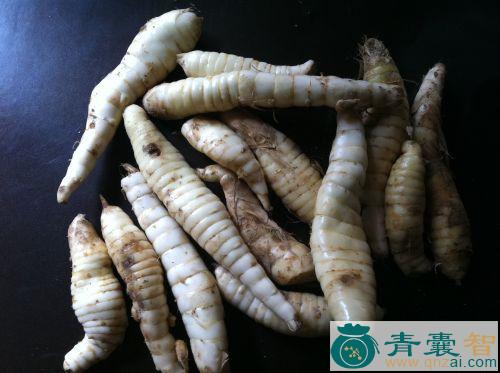 中药材铁炮虫图片