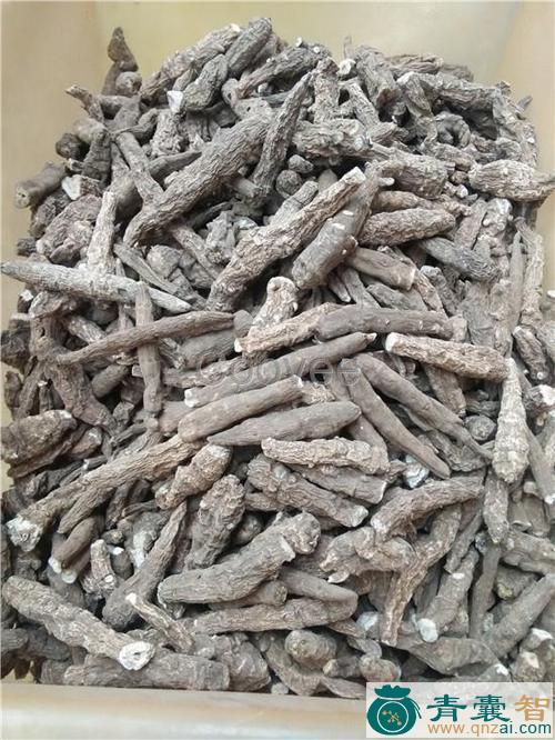 铁牛七的性状性味归经以及功效用法和注意事项-青囊智