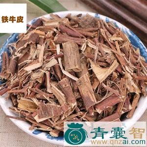 中药材铁牛皮图片