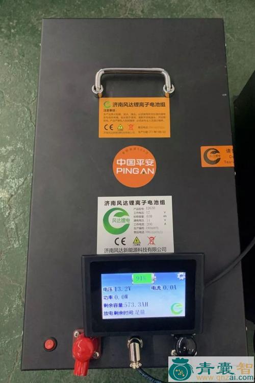 铁理风的性状性味归经以及功效用法-青囊智