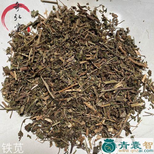 中药材铁答杯图片