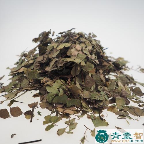 中药材铁色草图片