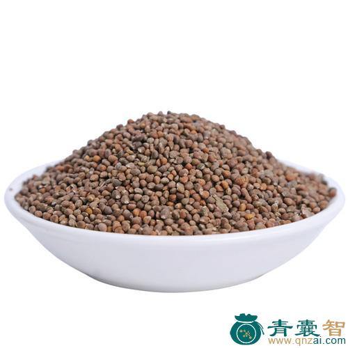 中药材铁苏子图片