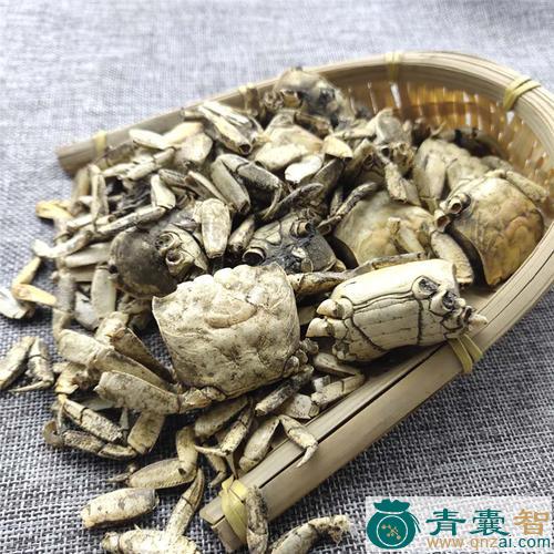 中药材铁螃蟹图片