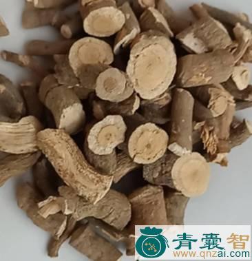 中药材铁钻图片