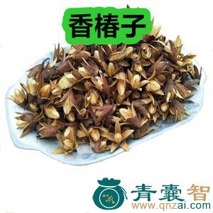 铃春子的性味归经以及功效用法-青囊智