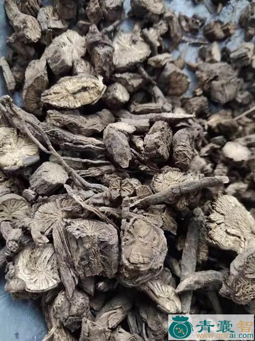 银不换的性状性味归经以及功效用法-青囊智