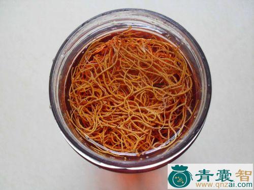 锦带的性状性味归经以及功效用法和注意事项-青囊智