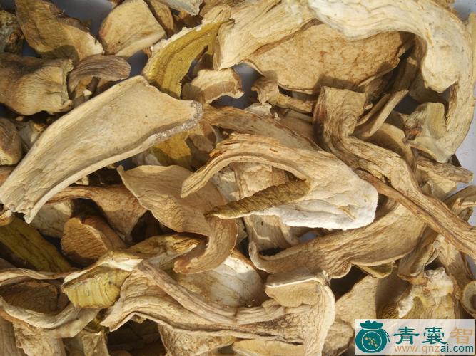 中药材长柄牛肝菌图片