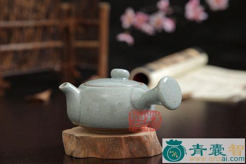 长柄茶壶卢的性味归经以及功效用法和注意事项-青囊智