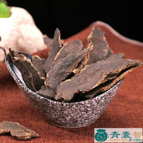 中药材长梗玄参图片