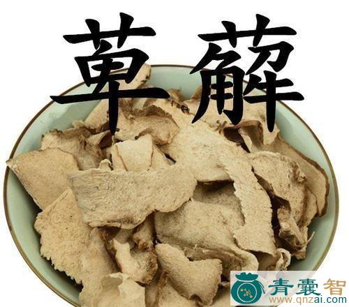 中药材长踦图片