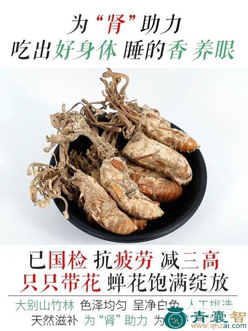 中药材闹虫草图片