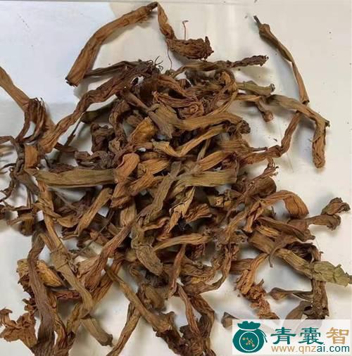 中药材闹鱼花图片