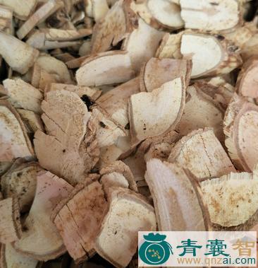 中药材阎王刺根图片