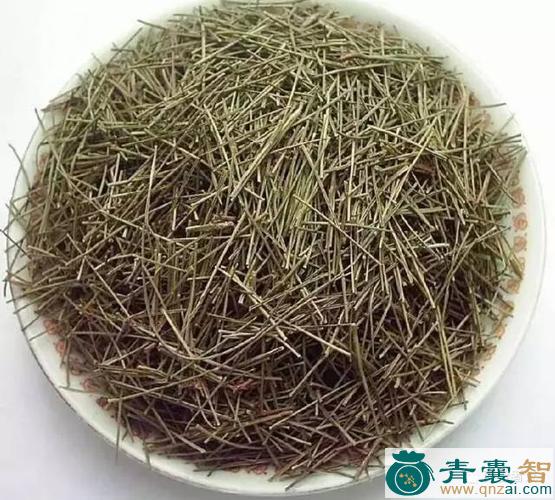 阿拍色鲁的性状性味归经以及功效用法-青囊智