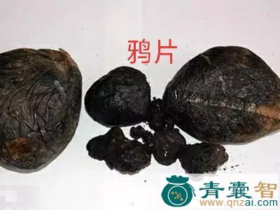 中药材阿片图片