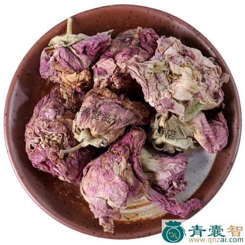 阿芙蓉的性状性味归经以及功效用法和注意事项-青囊智