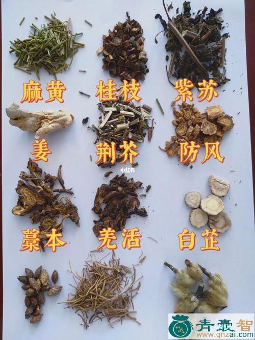 中药材除辛图片