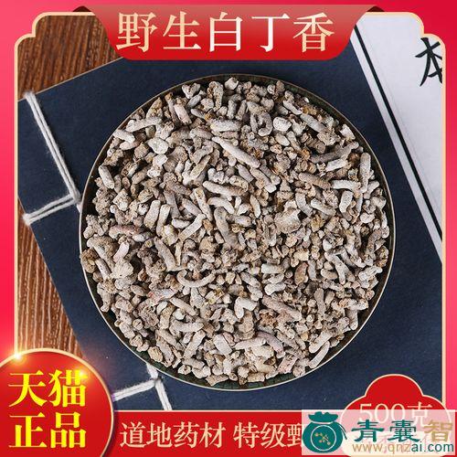 中药材雀图片