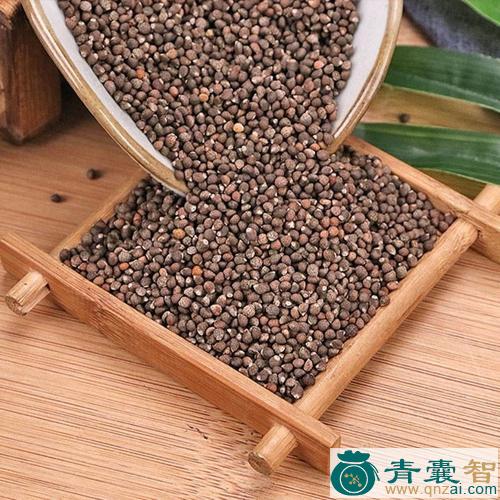 中药材雀苏图片