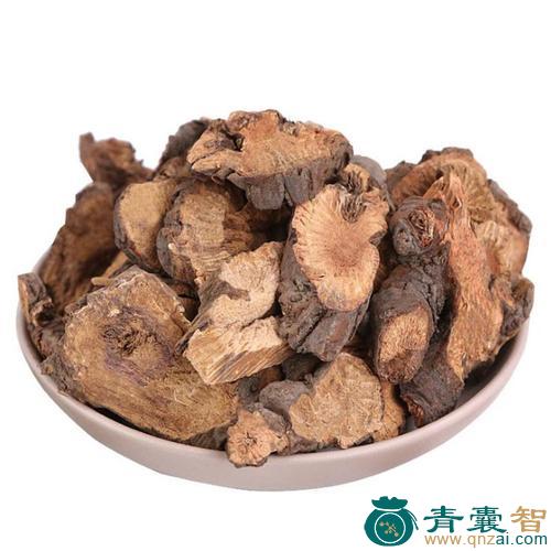 中药材雀食地榆图片