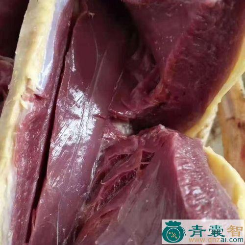 雁肉的性味归经以及功效用法和注意事项-青囊智
