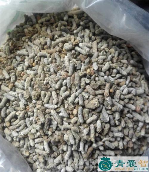 雄家雀粪的性状性味归经以及功效用法和注意事项-青囊智