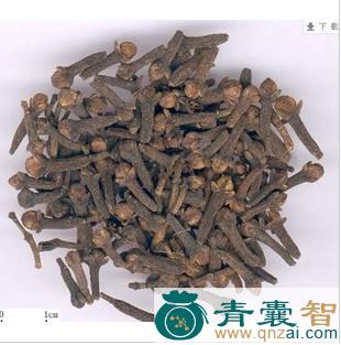 中药材雄雀矢图片
