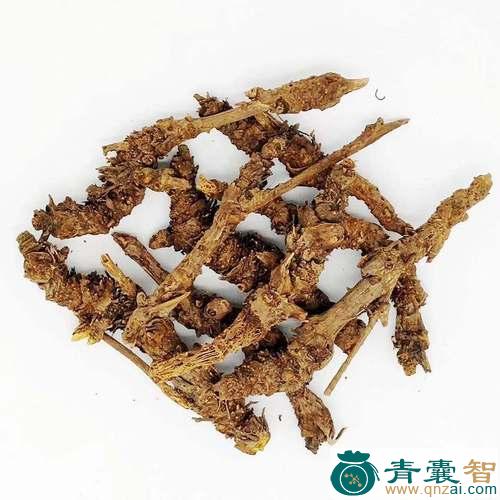 中药材雅连图片