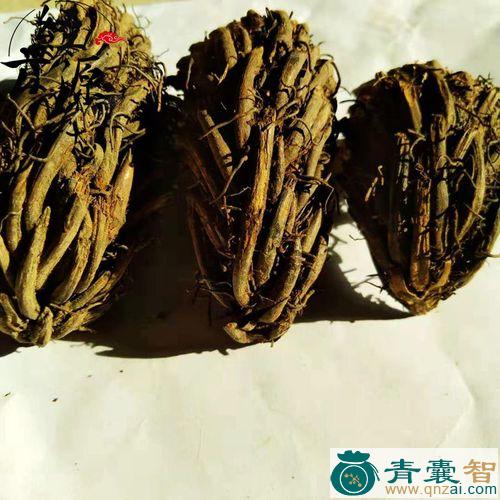 中药材雉鸡脑图片