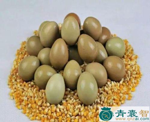 中药材雉鸡蛋图片