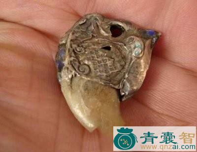 中药材雕爪图片