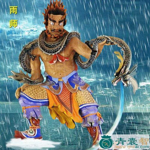 中药材雨师图片