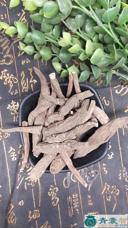 中药材雪上一枝蒿图片