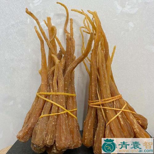 雪人参的性味归经以及功效用法-青囊智