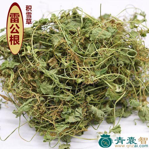 雷公尖的性味归经以及功效用法-青囊智