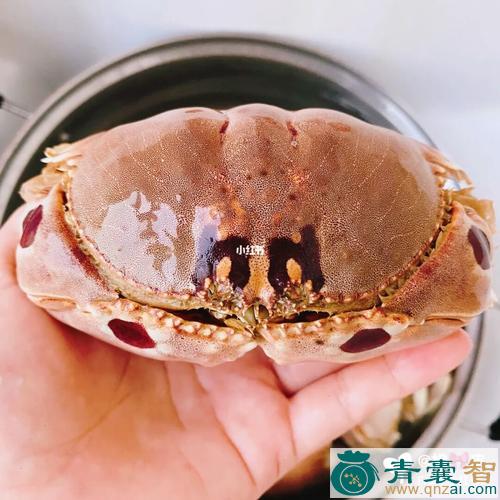 中药材雷公蟹图片