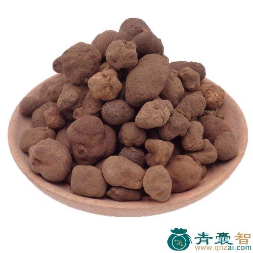 中药材雷振子图片