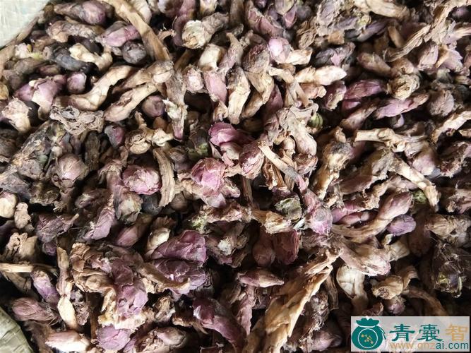 中药材霜降花图片