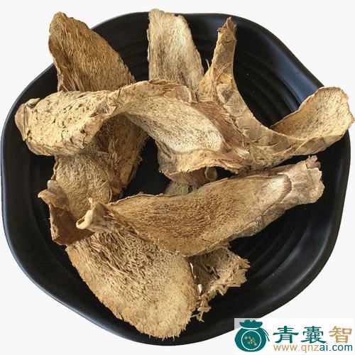 中药材露兜根图片