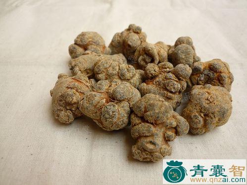 中药材霸王七图片