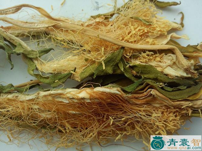 霸王鞭的性状性味归经以及功效用法-青囊智