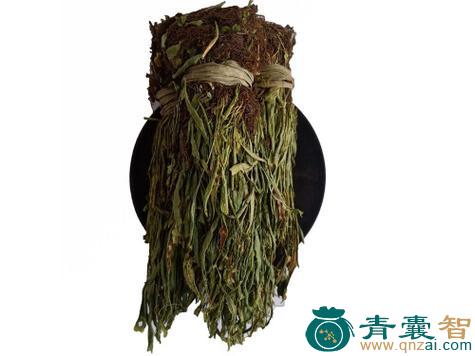 中药材青丝还阳图片