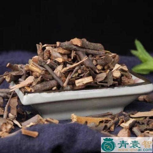 中药材青刚栎寄生图片