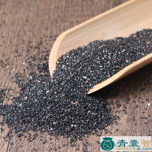 青头鹀的性味归经以及功效用法-青囊智