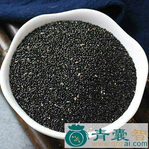 青影子的性状性味归经以及功效用法和注意事项-青囊智