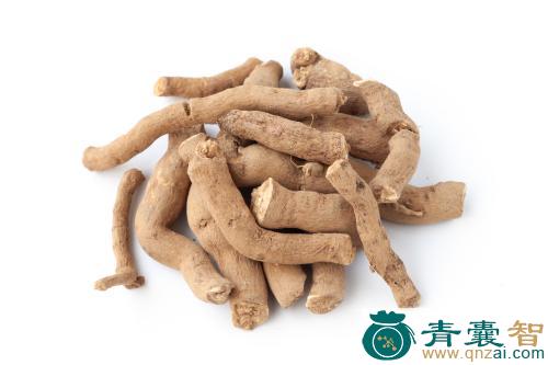 中药材青木香图片