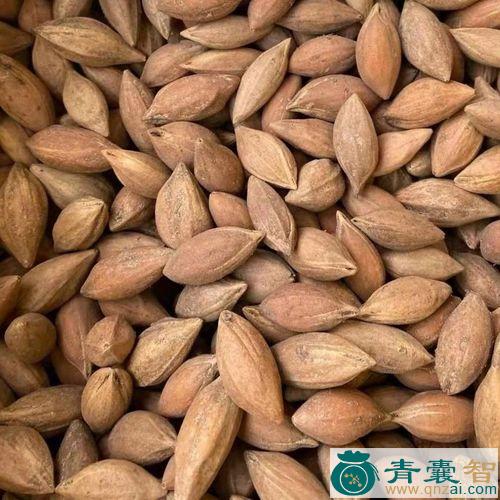 中药材青果核图片